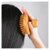 1Pc Handheld Cushion Massage Comb Portable Scalp Massage Brush Anti-static Acupoint Meridian Brush Head Massager(Type a) view 4