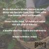 Brady's Whole Coffee Beans Espresso Blend - 227g Medium Roast Featuring Brazilian, Guatemalan & Colombian Origins - Chocolate Notes view 3