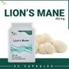Ved Lions Mane Supplement 450mg, Lion's Mane Mushroom 15:1 Extract 90 Vegan Capsule (3 Months Supply) view 2