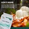 Ved Lions Mane Supplement 450mg, Lion's Mane Mushroom 15:1 Extract 90 Vegan Capsule (3 Months Supply) view 4