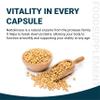 Ved Nattokinase, 2000 FU / 100mg, Nattokinase Natural Fermented Soybean Extract,Enzyme from Japanese Natto,90 Vegan Capsules (3 Months Supply) view 4