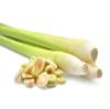 Fresh Lemongrass Stalks, Aromatic Herb for Cooking and Beverages (80g X 3) view 1
