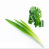 Pandan Leaves, Bai Toey (500g) view 1
