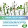 Recuren Plus Hemorrhoids Treatment Hemorrhoid & Fissure Cream Fast Acting Hemorrhoid Cream and Healing Formula for Itching Swelling Bleeding Burning and Maximum Pain Relief 30g, 2 Pack view 4