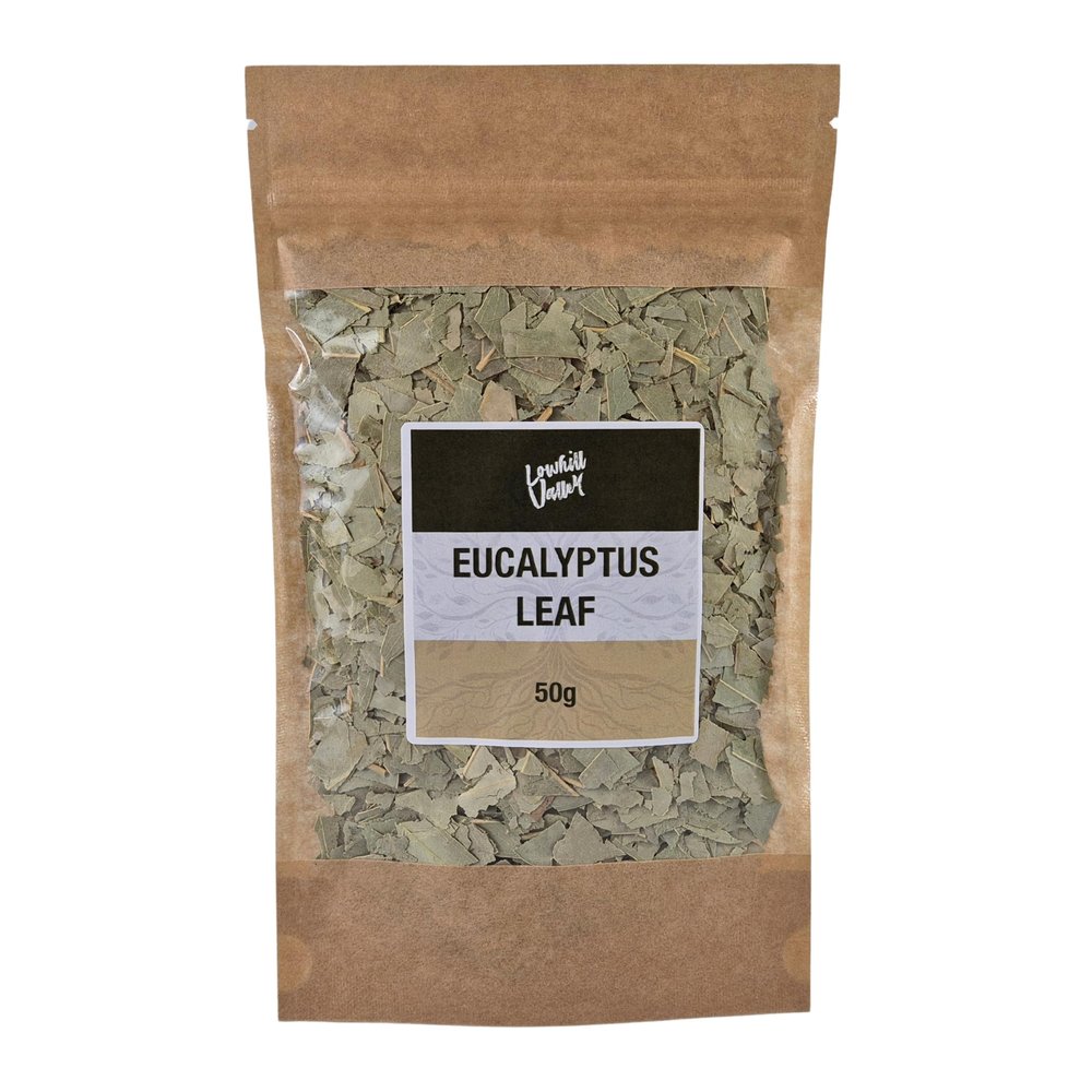 Lowhill Valley Eucalyptus Leaf Tea - Cut and Dried Eucalyptus Globulus Leaves - For Respiratory Wellness & Immune Function - Invigorating Loose Herbal Tea - 100% Natural - 50g