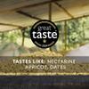 Rounton Coffee Lake Kivu 250g | 100% Arabica Beans | Medium Espresso Roast | Notes of Nectarine, Apricot & Dates | Intensity 3/5 | Freshly Roasted in Yorkshire view 2