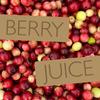 PRESSUICE - Fresh Scarlet Cranberry Juice not from concentrate - 6 bottles pack x 250 ml - Fruit Juices NFC - Pressed Semi Sour Drink - Unsweetened - No added Sugar - Natural Press - For shots view 3