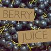PRESSUICE - Fresh Intense Aronia Chokeberry Juice not from concentrate - 6 bottles pack x 250 ml - Fruit Juices NFC - Pressed Semi Sour Drink - No added Sugar - Natural Press for Cocktails Lemonades view 3