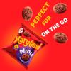 Mini Biscuits Bundle with Maryland Minis Double Chocolate Chip Cookies (6x19.8g) - 10 Pack | Mini Chocolate Flavoured Cookies Containing Chocolate Chips, Suitable For Vegetarians. view 4