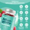 Ashwagandha High Strength Gummies | 1200mg Organic Ashwagandha Gummies with 5% Withanolides Relaxation Stress Relief Supplements | Raspberry Flavour - Vegan - Pack of 1 (Pack of 1) view 3
