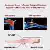 COYEUX Tecar Therapy Diathermy Machine, 4 Modes and 10 Body Parts To Choose From, 300~448KHz Therapy Machine For Body Pain, CET RET for Sports Rehabilitator Sport Therapist view 3
