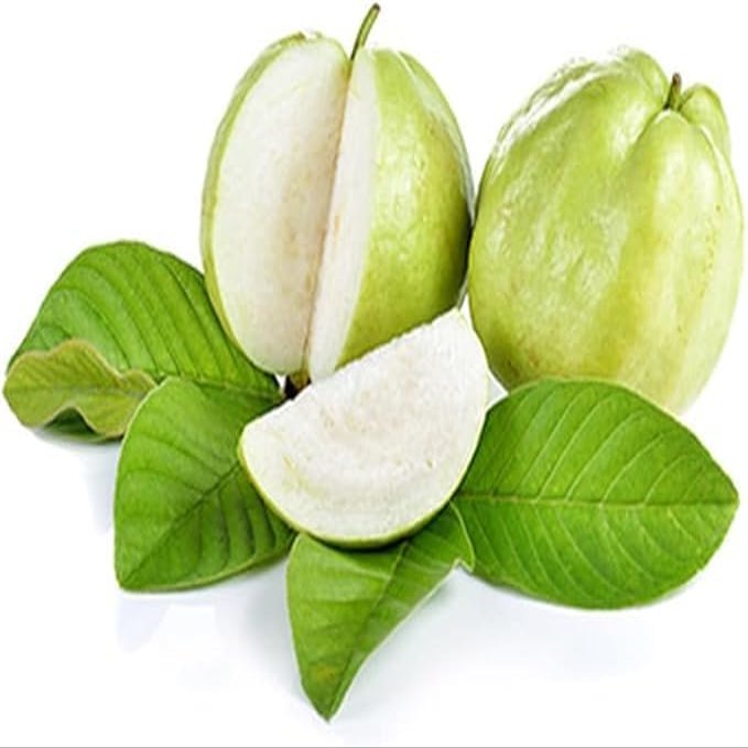 Indian Guava (3KG)