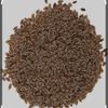 Psyllium Seeds by Masala Cottage 50g-1.9kg (1.9kg) view 1