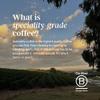 Grind Decaf House Blend Ground Coffee  1kg Bag  Medium Roast  100% Arabica  Natural Decaffeination Process  Suitable for Cafetire, Moka Pot, AeroPress and Filter Brew  Ethically Sourced view 4