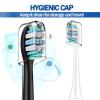 16 Replacement Toothbrush Heads Compatible with Philips Sonicare Toothbrush, 7900 3100 4300 5500 Plaque Defence Brush Head with Densely Clustered Bristles - Standard Sonic Brush Heads - Black view 2