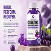 AlphaStateSciences Creatine Gummies - 4000mg Creatine with Calcium, Magnesium & Potassium, Strength, Endurance & Muscle Growth Supplement (60 Gummies) view 2