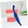 Beaupretty Denture Brush Set 2pcs Dual-Head False Toothbrushes for Denture Cleaning Travel Use with Red and Blue Handles, Soft Bristles for Elderly Oral Care view 4