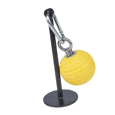 minkissy 1set Hand Grip Ball and Dumbbell Bracket for Arm Exercise Grip Strength Trainer Slip Surface for Enhanced Workout Performance and Easy Installation