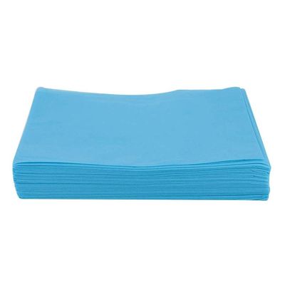100pcs Disposable Couch Cover Massage Table Sheets with Hole Beauty Salon Tattoo Hotel Spa Bed Cover Blue Color