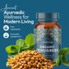 Ayurvediq Organic Fenugreek Capsules - 120 Vegan High Strength Fenugreek Powder Capsules for Lactating Mums, Hormonal & Blood Sugar Balance, Natural Supplements for Digestion view 2