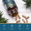 Ayurvediq Wellness Pure Shilajit and Organic Ashwagandha - Himalayan Shilajit with Ashwagandha High Strength Capsules - Ayurveda Products view 3