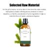 100% Pure Frankincense Essential Oil, 100ml Premium Organic Frankincense Oil, Fragrance Oil for Aromatherapy, Skin Hair Care, Diffuser, Massage, Soap Candle Making Kit, Natural(3.38oz) view 3