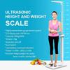 Digital Height and Weight Scale, Medical Office Scale,Smart Physician Scale, Medical Scale for Weight and Height Measurement, Non-contact Sonar Ranging All-in-One Lcd Display for Office/Home/Gym view 3