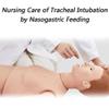 Nursing Skills CPR Dummy Life Size Mannequin Geriatric Human Model - Full Body Patient Care Training Simulator for Education & Teaching Medical Practice view 3