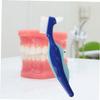 BEBEMOKO Denture Cleaning Brush Double-Sided Toothbrush 2pcs Set Red and Blue Small Brushes for Elderly Denture Care and Braces Cleaning view 3