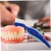 BEBEMOKO Denture Cleaning Brush Double-Sided Toothbrush 2pcs Set Red and Blue Small Brushes for Elderly Denture Care and Braces Cleaning view 4