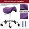 Hydraulic Saddle Stool on Wheels for SPA Massage, Modern Swivel Rolling Seat/Salon Chair, Balance Chair for Healthy Back - Beauty Chair for Comfort view 2