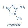 Dragons Fuel Creatine, 50 Sachets view 3