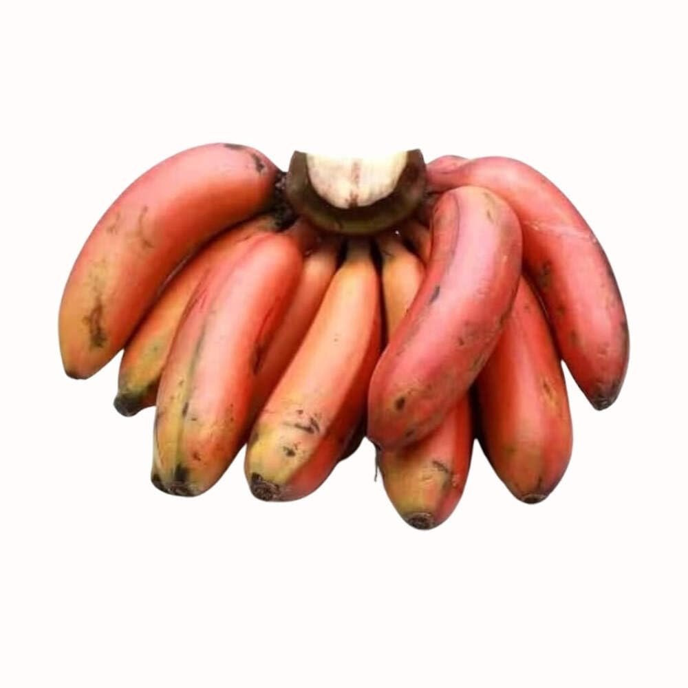 Fresh Banana Red, Approximate Weight 500g