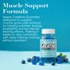 True Health Creatine Gummies Blueberry Flavour  Vegan Creatine Monohydrate Gummies, Blueberry Flavoured for Post Workout Recovery, Boost Muscle Growth and Enhance Strength, 2,500 MG, 60 Units view 2