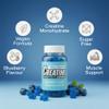 True Health Creatine Gummies Blueberry Flavour  Vegan Creatine Monohydrate Gummies, Blueberry Flavoured for Post Workout Recovery, Boost Muscle Growth and Enhance Strength, 2,500 MG, 60 Units view 3