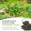 Mokhtar Tea London | Green Tea | Premium Quality | Loose Leaf | Jar of 400g | 100% Natural view 2