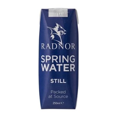 Radnor Still Spring Water Tetra Pak - 250ml (Box 24)