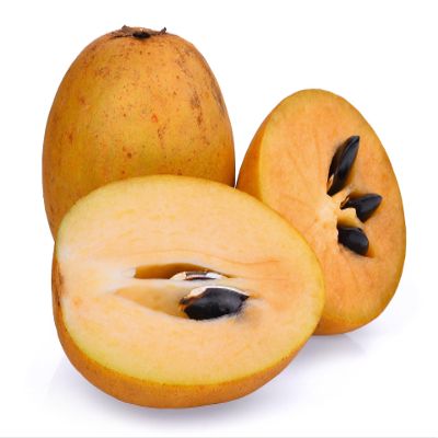 Fresh Sweet Sapodilla;Chikoo, chiku, Sapodilla, Sapota, Brown Sugar Fruit, Naseberry. (20)