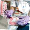 COLLBATH 3pcs Denture Brush False Teeth Cleaning Brush Double-Sided Toothbrush Denture Cleaning Tool for Fresh Breath view 3