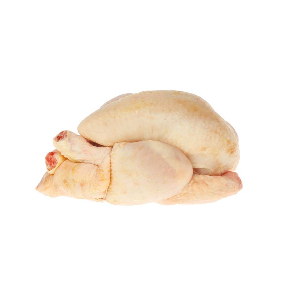 Poussin 3 Units