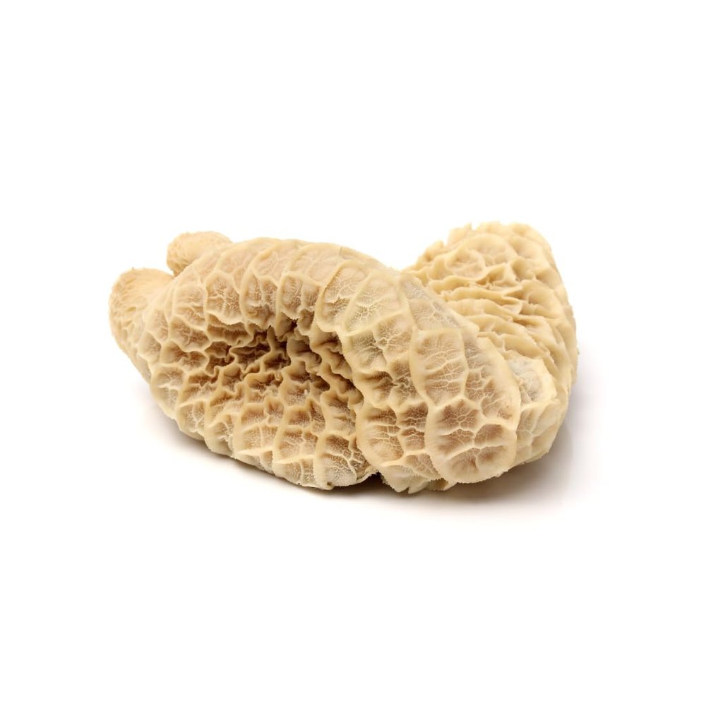 Beef Tripe 2kg