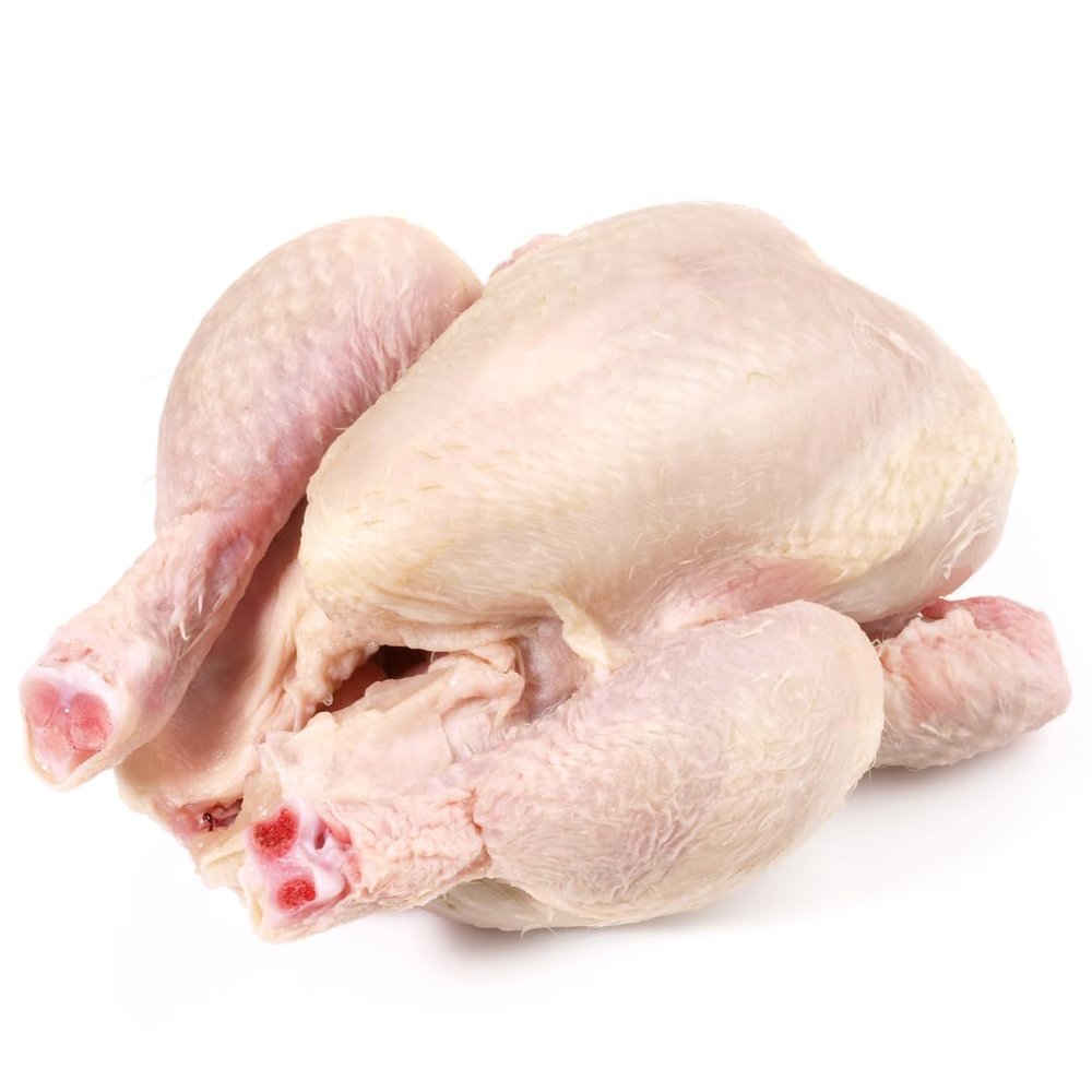 Baby Chicken 1 Unit