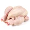 Baby Chicken 1 Unit view 1