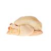 Poussin 1 Unit view 1