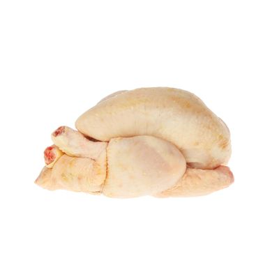 Poussin 2 Units