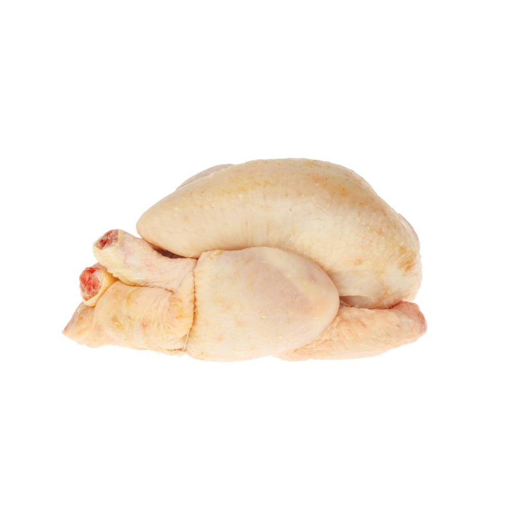 Poussin 2 Units