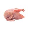 Whole Quail 1 Unit view 1