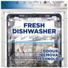 Finish Dishwasher Machine Cleaner, Lemon, Pack of 4, 250ml Each,Deep Cleans and Helps to prolong life of your dishwasher view 3