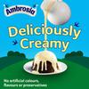 Ambrosia Devon Ready-to-Eat Creamy & Delicious Light Devon Custard Carton, 30% Less Fat & Sugar, 500 g (Pack of 6) view 3
