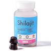 Shilajit Gummies - 60 Count | All-Natural Energy Boosting Gummy | 85+ Essential Minerals | Rich in Fulvic Acid | High Potency Shilajit Gummies for Men | Vegan, Non-GMO | Pure Himalayan Shilajit view 1